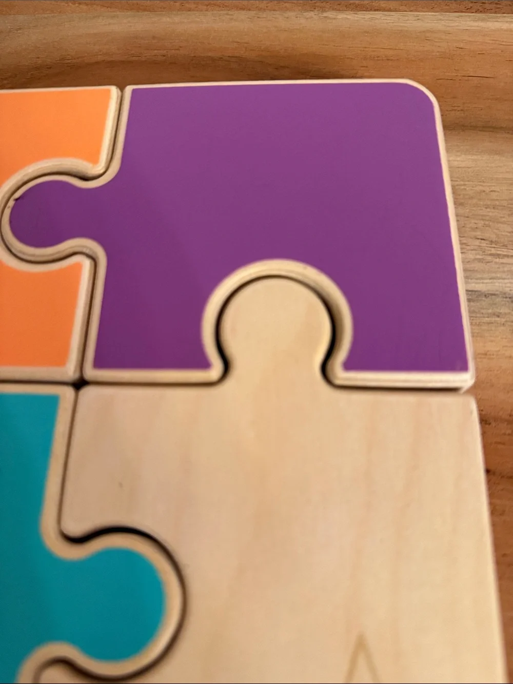 Lovevery chunky Color Block jigsaw Puzzle companion kit 22 months